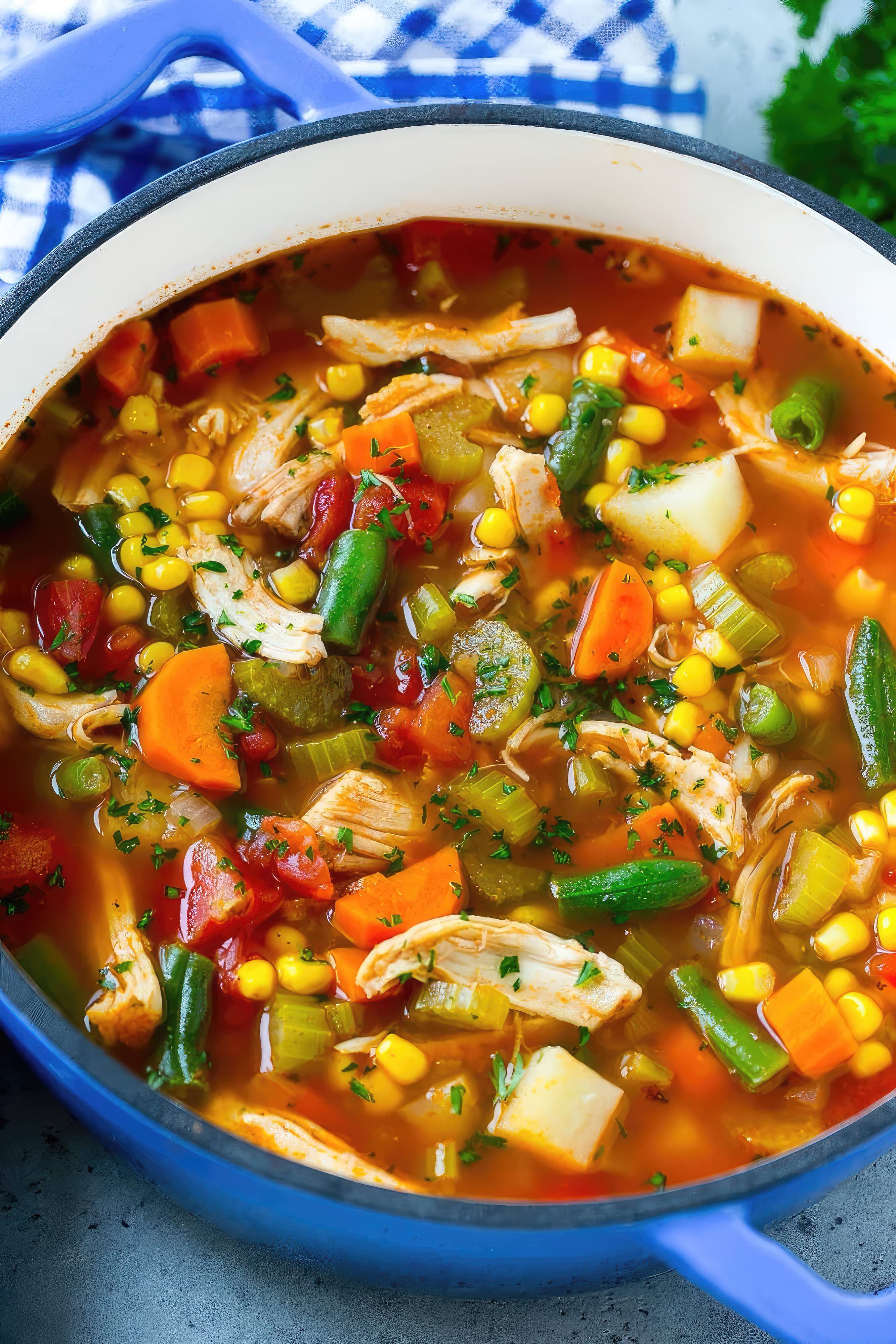 Close-up of chicken vegetable soup