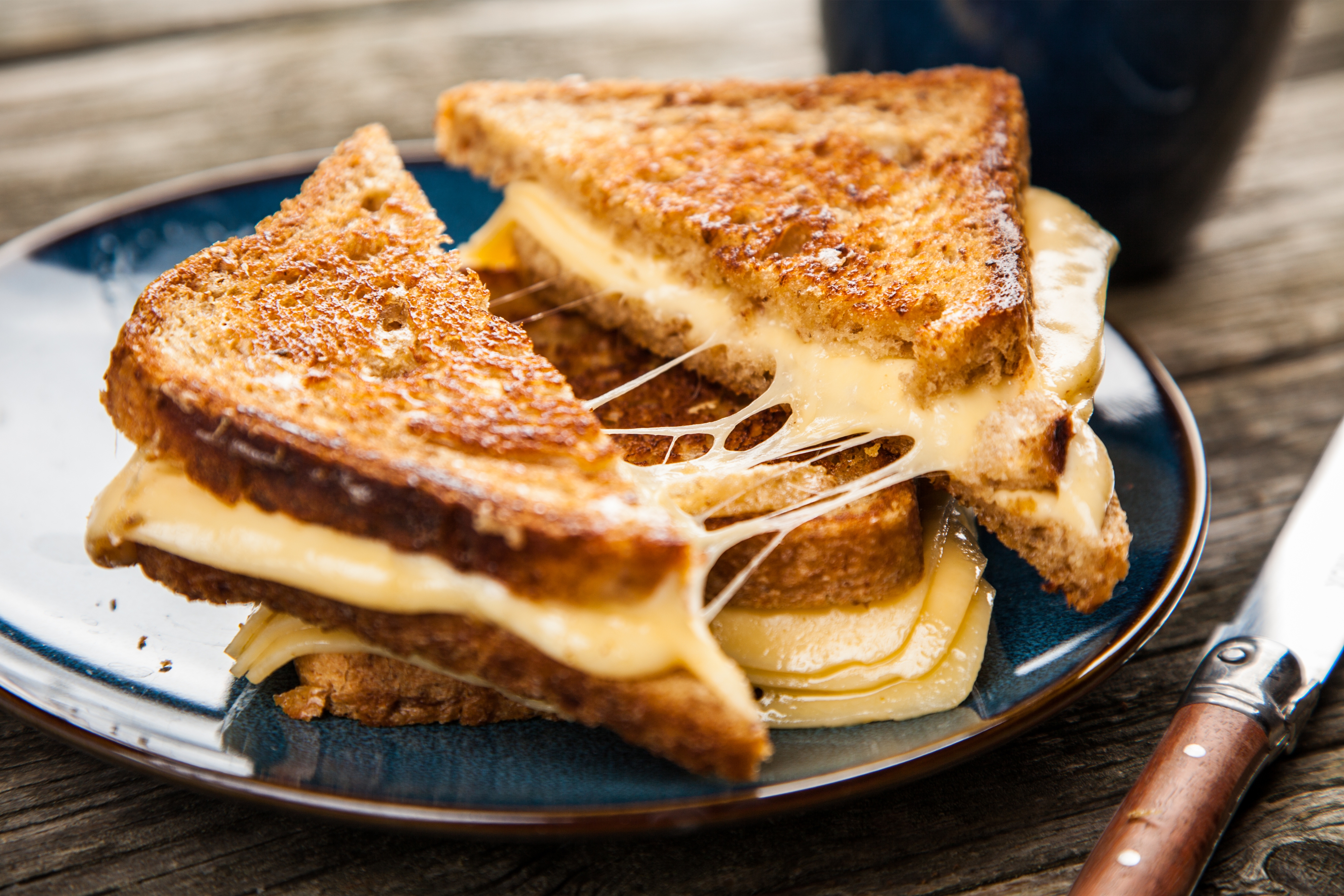 Close-up of grilled cream cheese sandwich on a plate