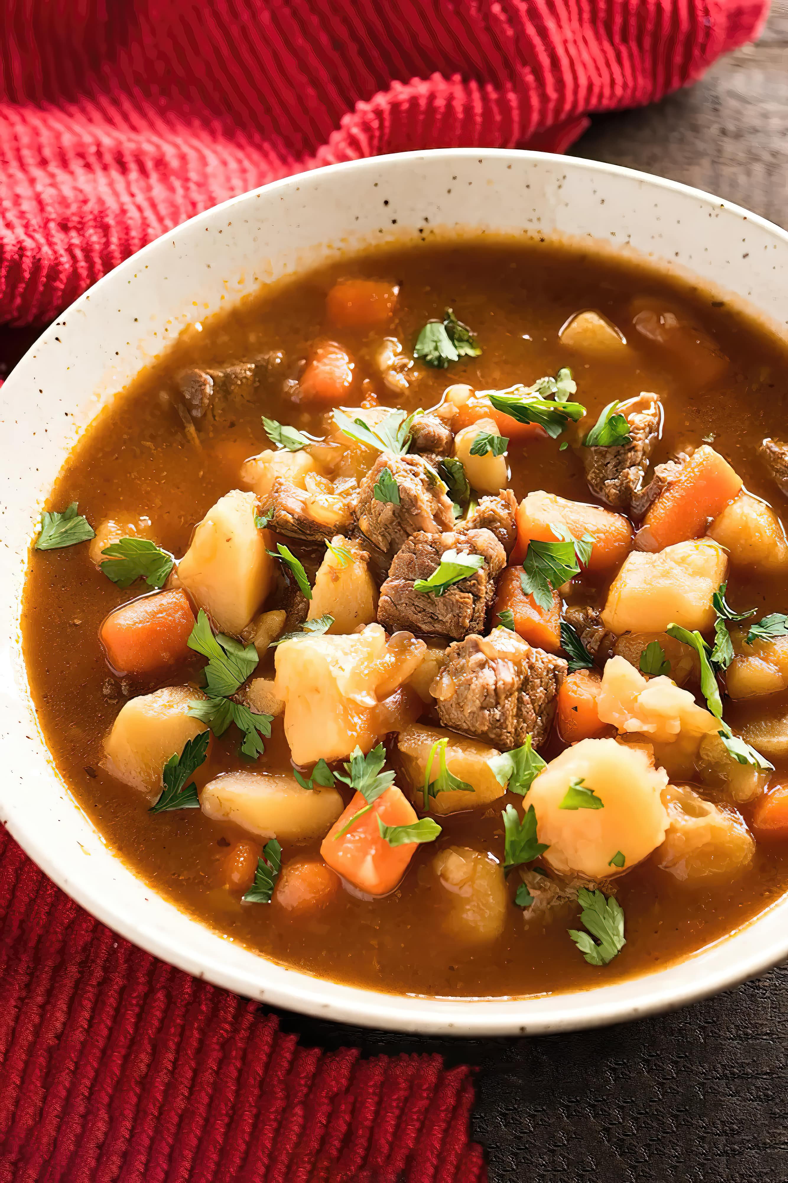Close-up of instant pot beef stew